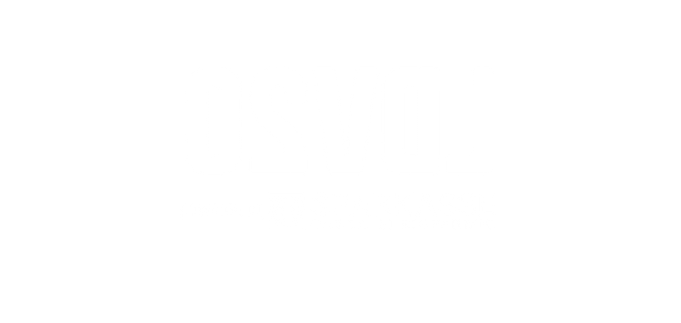 Partner logo  2