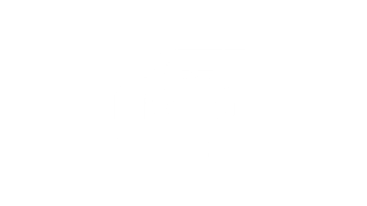 Partner logo  1