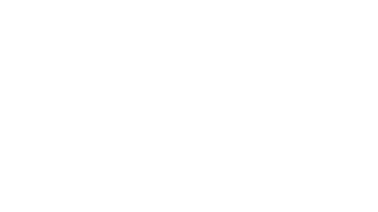 Partner logo  3
