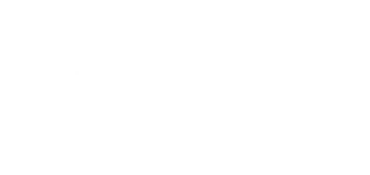 Partner logo  2